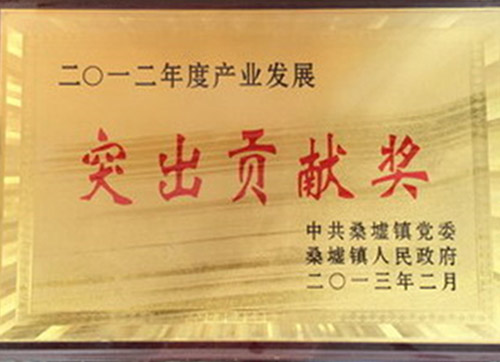 雙馬-突出貢獻獎