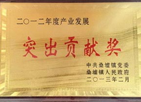 雙馬-突出貢獻獎